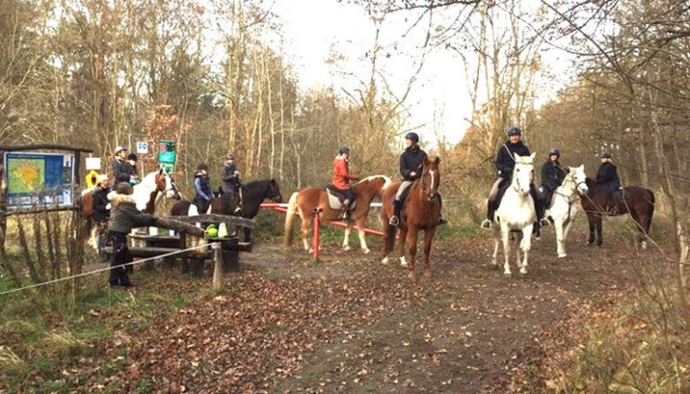 Beginn der Grünen Saison 2025